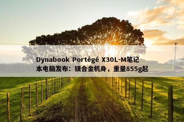 Dynabook Portégé X30L-M笔记本电脑发布：镁合金机身，重量855g起