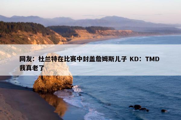 网友：杜兰特在比赛中封盖詹姆斯儿子 KD：TMD 我真老了