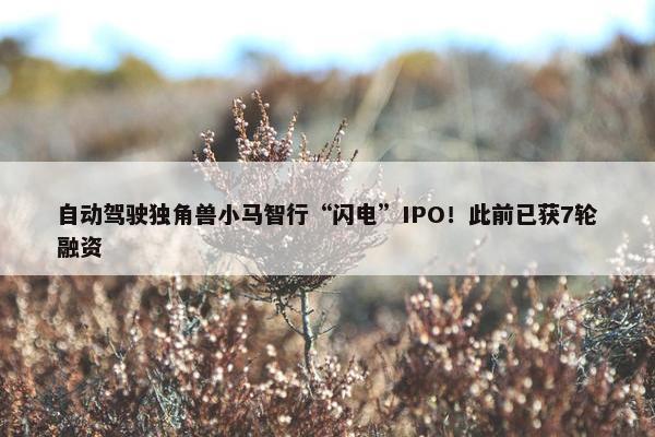 自动驾驶独角兽小马智行“闪电”IPO！此前已获7轮融资