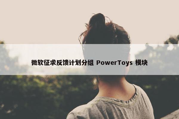 微软征求反馈计划分组 PowerToys 模块