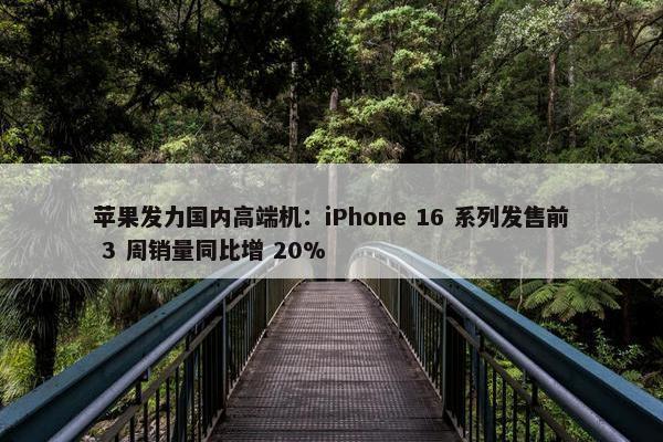 苹果发力国内高端机：iPhone 16 系列发售前 3 周销量同比增 20%