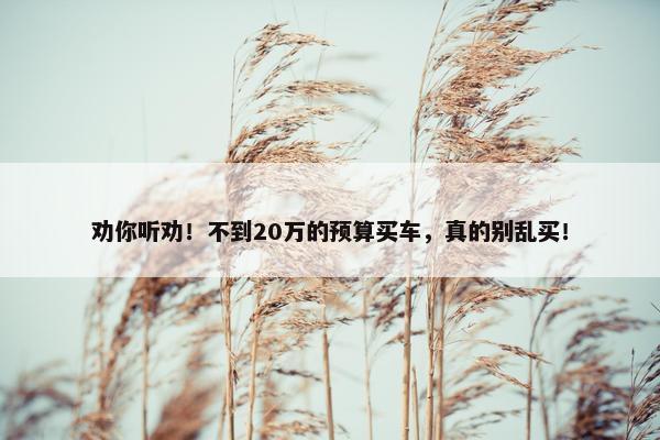 劝你听劝！不到20万的预算买车，真的别乱买！