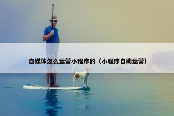 自媒体怎么运营小程序的（小程序自助运营）