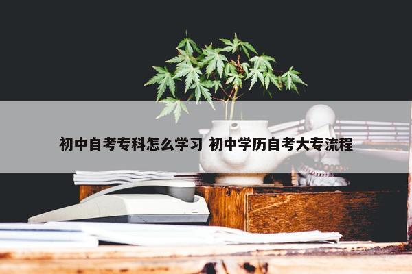 初中自考专科怎么学习 初中学历自考大专流程