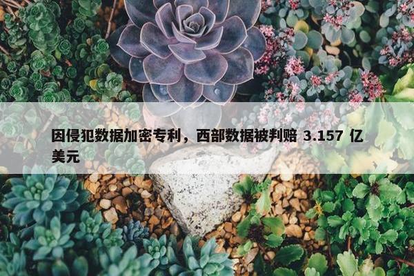 因侵犯数据加密专利，西部数据被判赔 3.157 亿美元