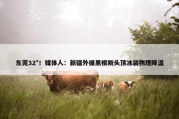 东莞32°！媒体人：新疆外援黑根斯头顶冰袋物理降温