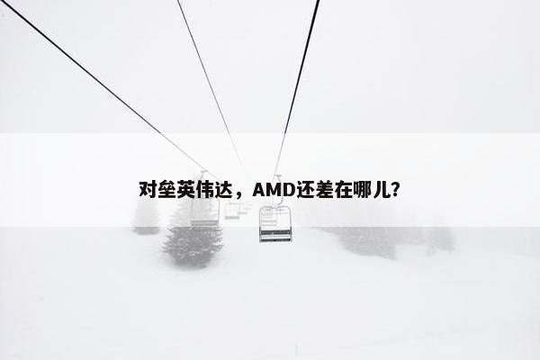 对垒英伟达，AMD还差在哪儿？