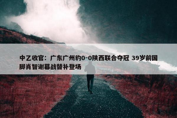 中乙收官：广东广州豹0-0陕西联合夺冠 39岁前国脚肖智谢幕战替补登场