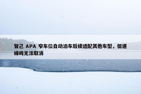 智己 APA 窄车位自动泊车后续适配其他车型，低速蜂鸣无法取消