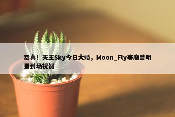 恭喜！天王Sky今日大婚，Moon_Fly等魔兽明星到场祝贺