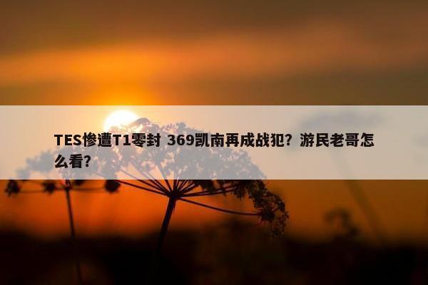 TES惨遭T1零封 369凯南再成战犯？游民老哥怎么看？