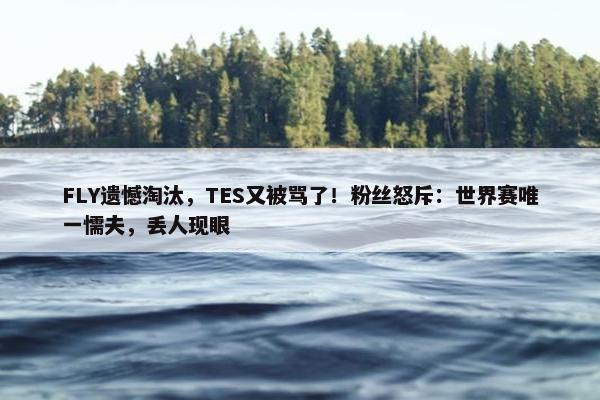 FLY遗憾淘汰，TES又被骂了！粉丝怒斥：世界赛唯一懦夫，丢人现眼