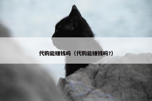 代购能赚钱吗（代购能赚钱吗?）