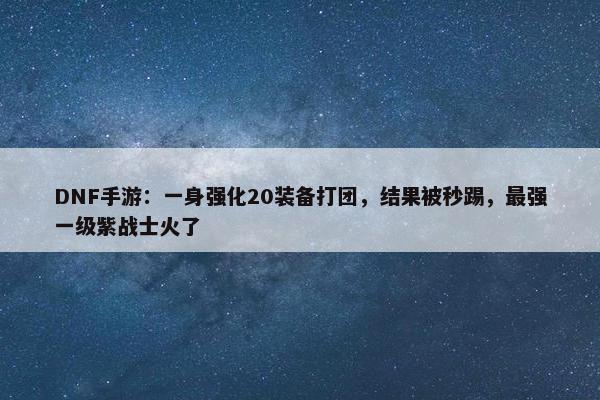 DNF手游：一身强化20装备打团，结果被秒踢，最强一级紫战士火了