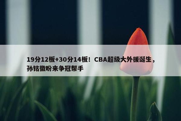 19分12板+30分14板！CBA超级大外援诞生，孙铭徽盼来争冠帮手