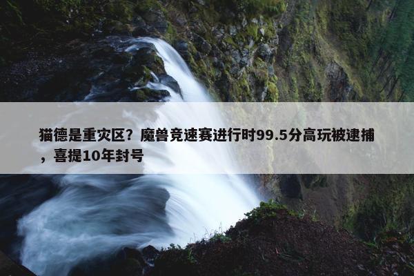 猫德是重灾区？魔兽竞速赛进行时99.5分高玩被逮捕，喜提10年封号