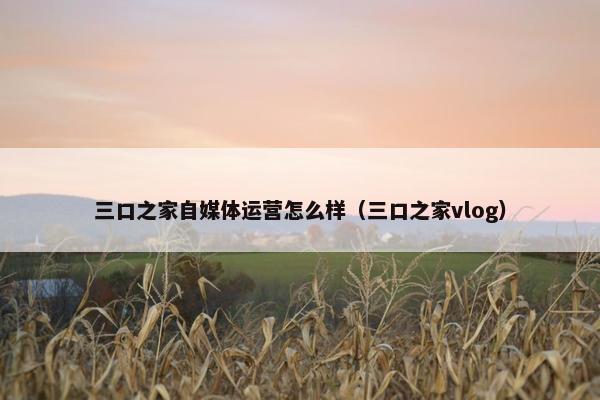 三口之家自媒体运营怎么样（三口之家vlog）