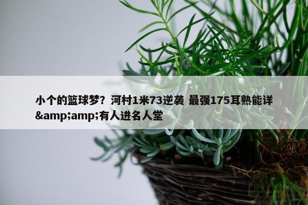 小个的篮球梦？河村1米73逆袭 最强175耳熟能详&amp;有人进名人堂