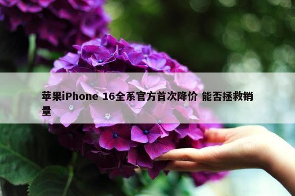 苹果iPhone 16全系官方首次降价 能否拯救销量