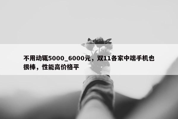 不用动辄5000_6000元，双11各家中端手机也很棒，性能高价格平