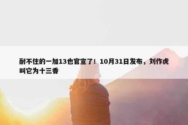 耐不住的一加13也官宣了！10月31日发布，刘作虎叫它为十三香