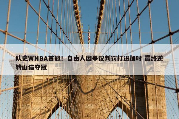 队史WNBA首冠！自由人因争议判罚打进加时 最终逆转山猫夺冠