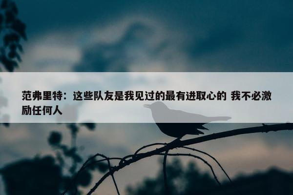 范弗里特：这些队友是我见过的最有进取心的 我不必激励任何人