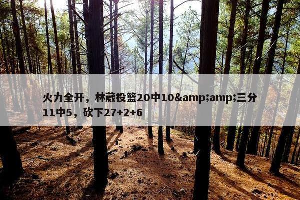 火力全开，林葳投篮20中10&amp;三分11中5，砍下27+2+6