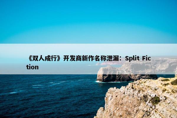 《双人成行》开发商新作名称泄漏：Split Fiction