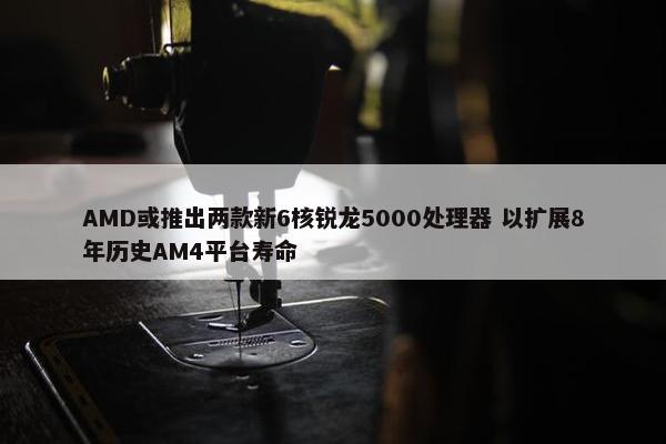 AMD或推出两款新6核锐龙5000处理器 以扩展8年历史AM4平台寿命