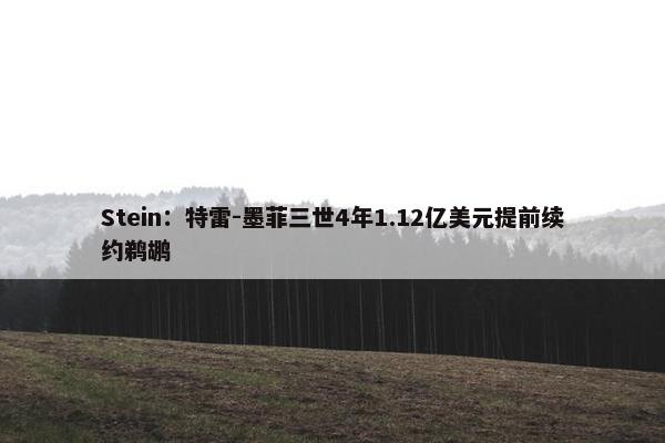 Stein：特雷-墨菲三世4年1.12亿美元提前续约鹈鹕