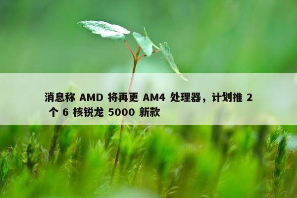 消息称 AMD 将再更 AM4 处理器，计划推 2 个 6 核锐龙 5000 新款