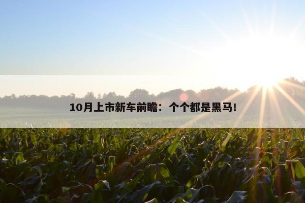 10月上市新车前瞻：个个都是黑马！