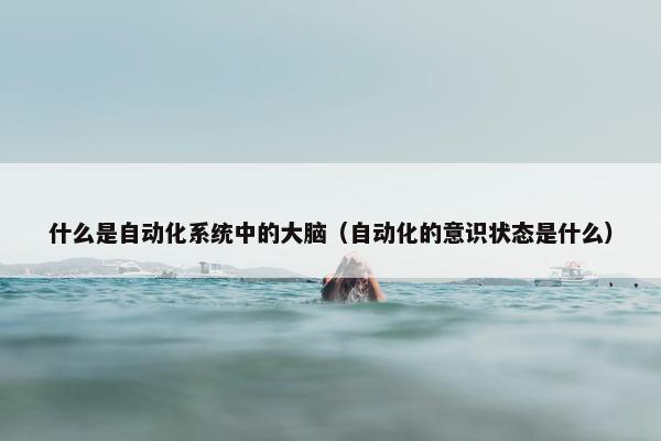 什么是自动化系统中的大脑（自动化的意识状态是什么）