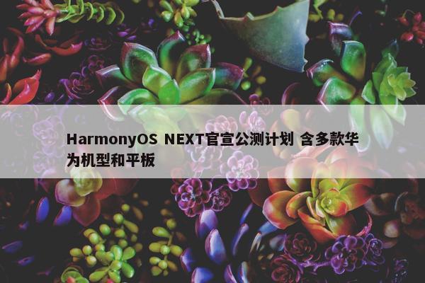 HarmonyOS NEXT官宣公测计划 含多款华为机型和平板