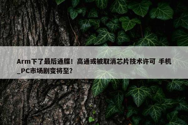 Arm下了最后通牒！高通或被取消芯片技术许可 手机_PC市场剧变将至？