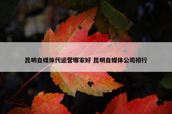 昆明自媒体代运营哪家好 昆明自媒体公司排行