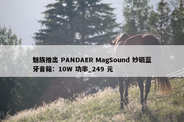 魅族推出 PANDAER MagSound 妙磁蓝牙音箱：10W 功率_249 元