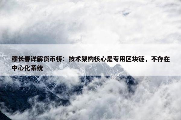 穆长春详解货币桥：技术架构核心是专用区块链，不存在中心化系统