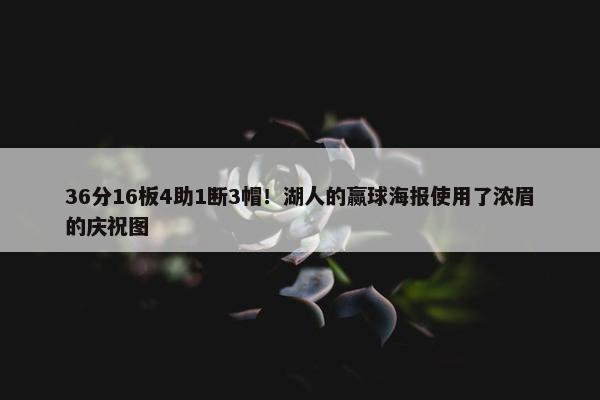 36分16板4助1断3帽！湖人的赢球海报使用了浓眉的庆祝图