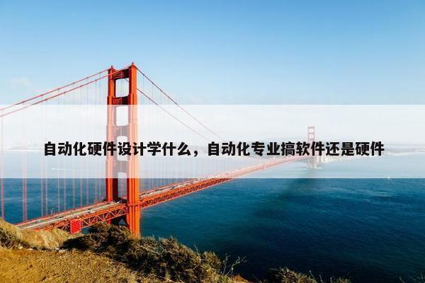 自动化硬件设计学什么，自动化专业搞软件还是硬件