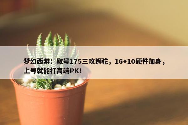 梦幻西游：取号175三攻狮驼，16+10硬件加身，上号就能打高端PK！