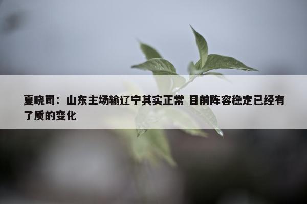 夏晓司：山东主场输辽宁其实正常 目前阵容稳定已经有了质的变化