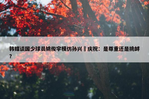 韩媒谈国少球员姚俊宇模仿孙兴慜庆祝：是尊重还是挑衅？