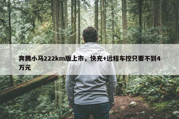 奔腾小马222km版上市，快充+远程车控只要不到4万元