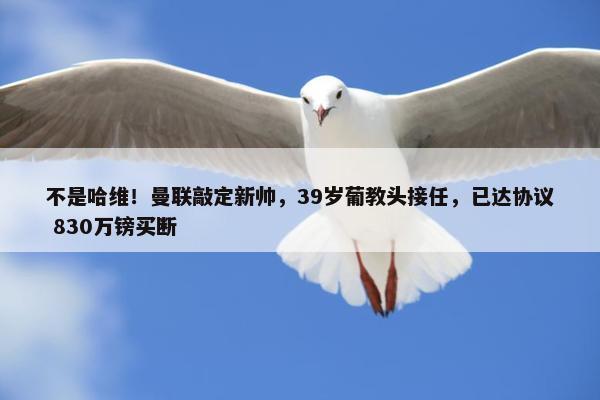 不是哈维！曼联敲定新帅，39岁葡教头接任，已达协议 830万镑买断