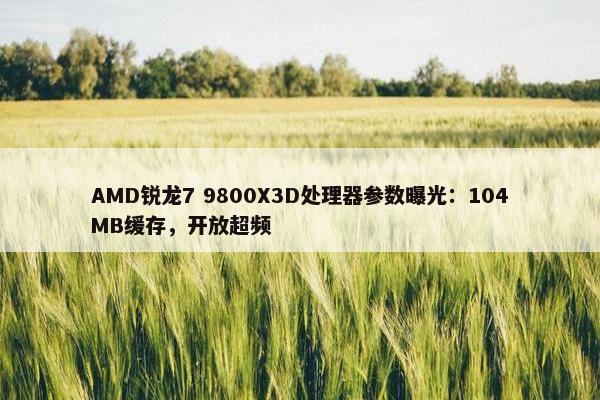 AMD锐龙7 9800X3D处理器参数曝光：104MB缓存，开放超频