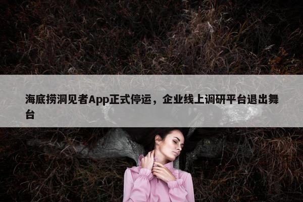 海底捞洞见者App正式停运，企业线上调研平台退出舞台