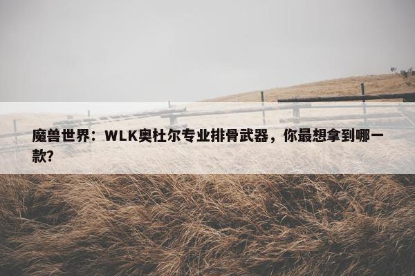 魔兽世界：WLK奥杜尔专业排骨武器，你最想拿到哪一款？