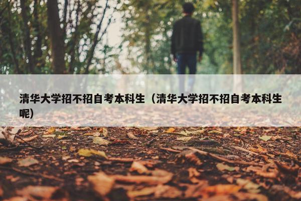 清华大学招不招自考本科生（清华大学招不招自考本科生呢）